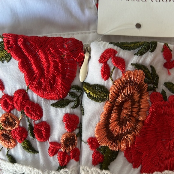 Alexis Naomie rose-embroidered maxi dress Size Small - Picture 5 of 6